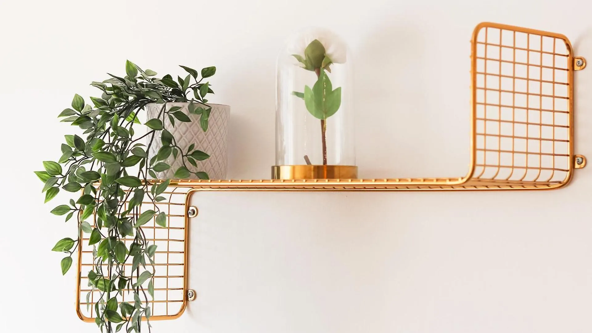 Laranjeiras Design By Homing Apartment Lisbon